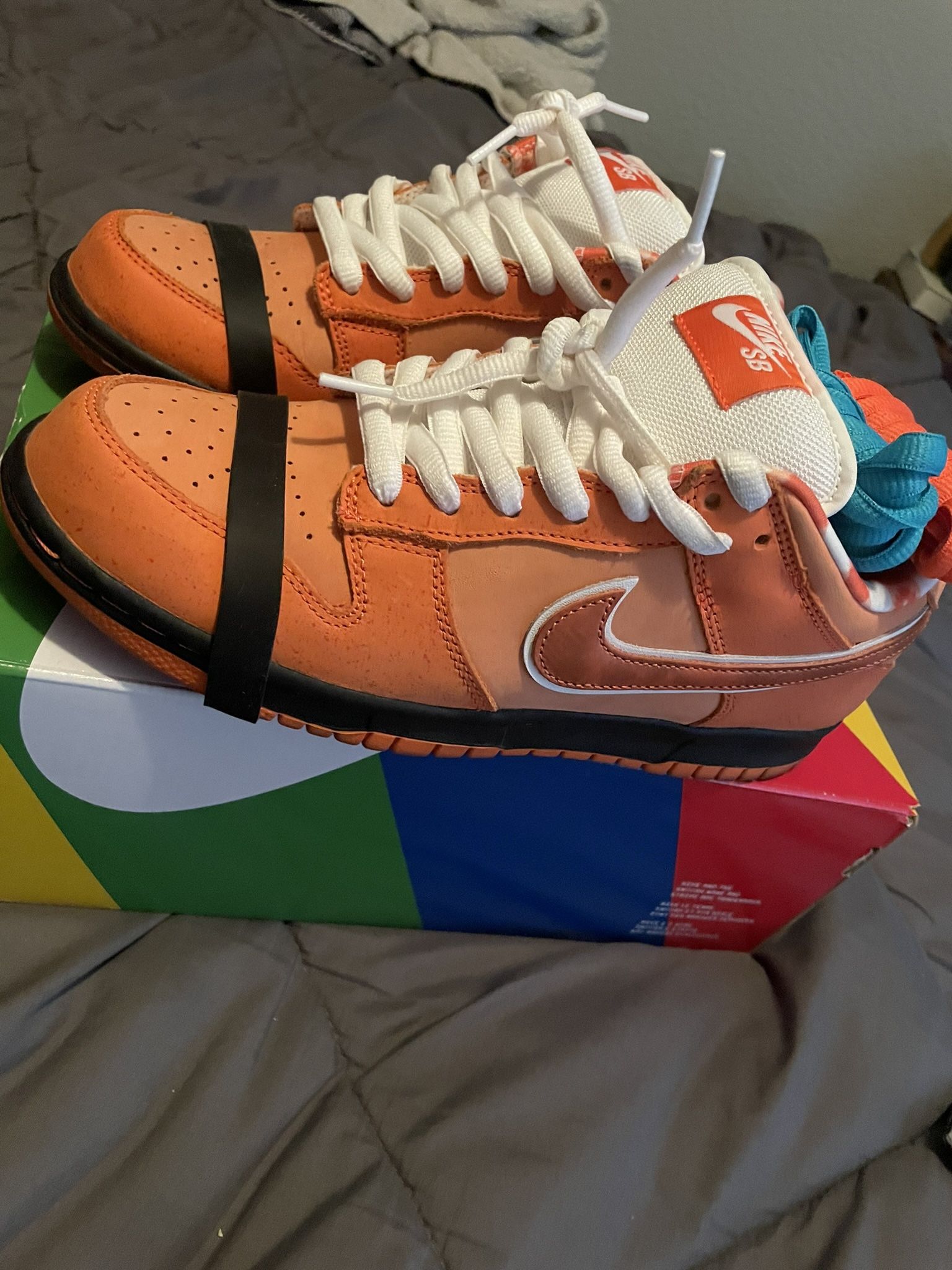 Orange Lobsters Nike SB Dunks Size 8