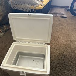 Cooler