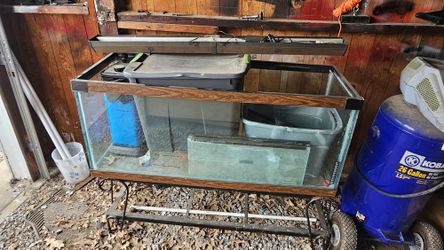 75 Gallon Fish Tank
