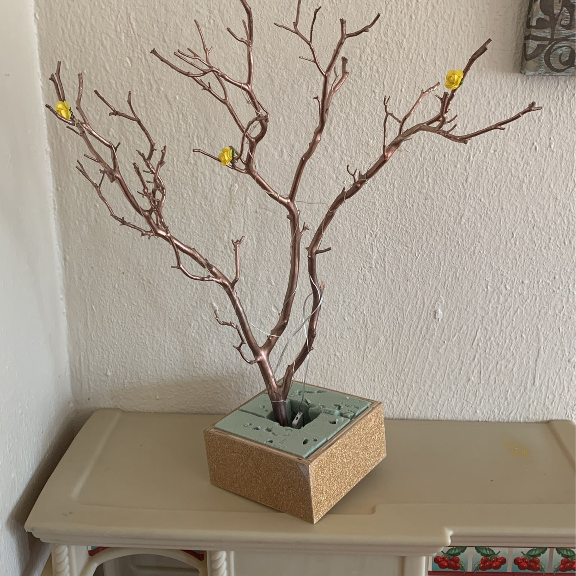 Manzanita Branch With Gold Bottom Box  { 1 Only)