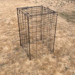 Dog Kennel