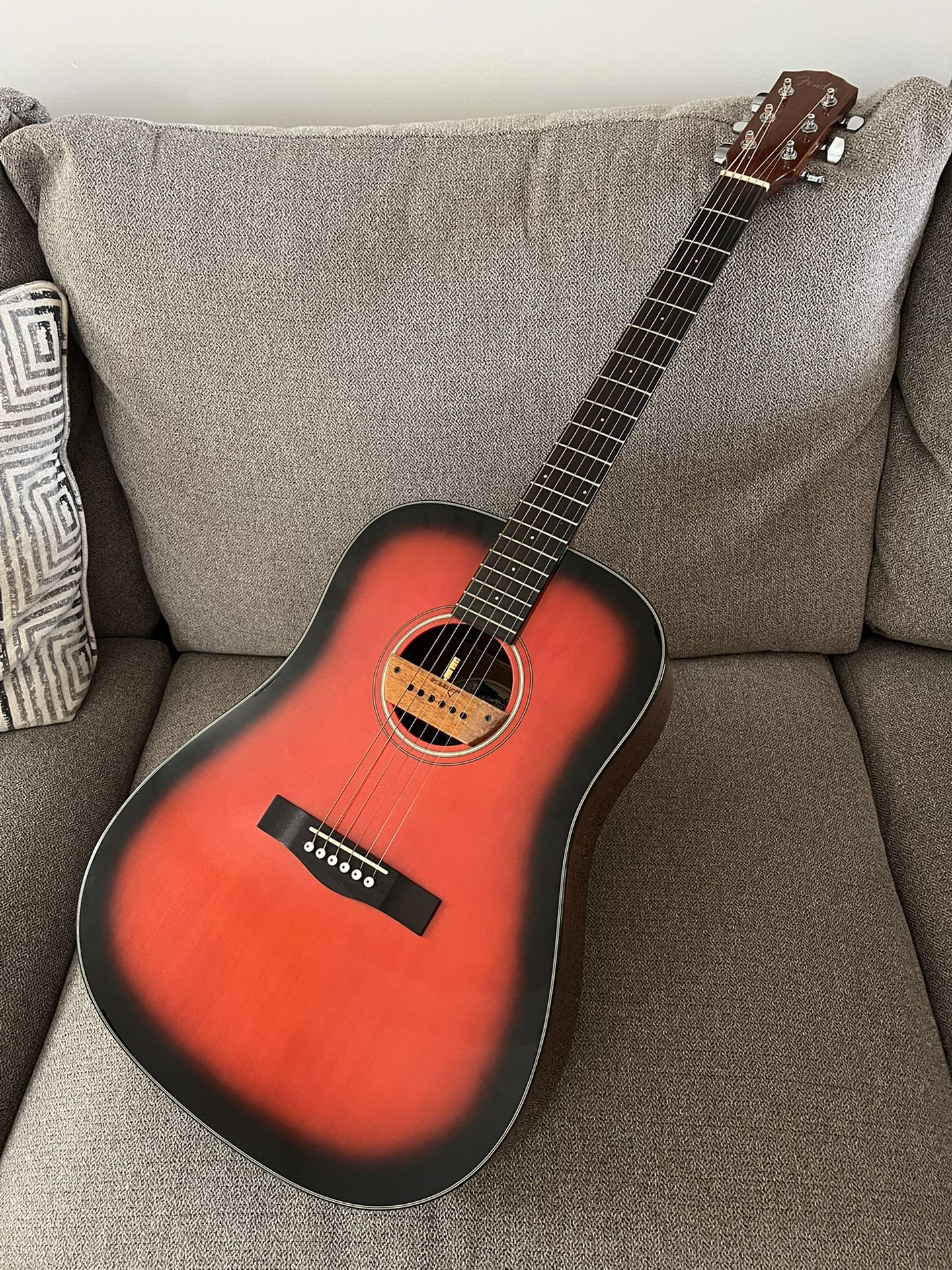 Acoustic Guitar With Pickups 