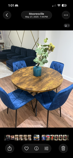 Blue Velvet Couch