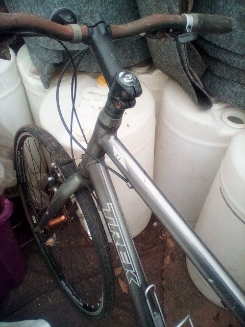 Trek 7.1 