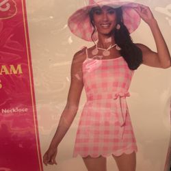 Gingham Dress Costume-Adult Size-XL-Brand New