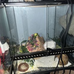 Reptile Enclosure