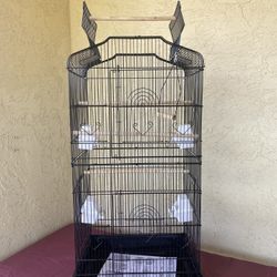 Birds Cage 