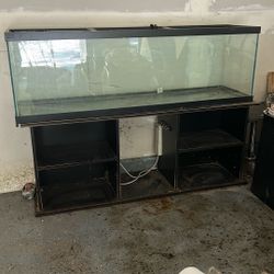 Fish tank 75 x 25