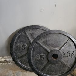 45lb Plates