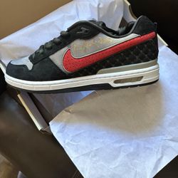 Brand New..Autograph Paul Rodriguez Skate Shoes