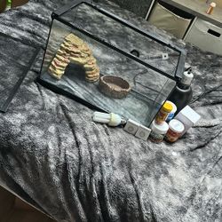 Reptile Enclosure