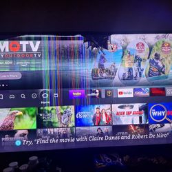 Insignia 55 Inch " TV LED minor Damage Still Works