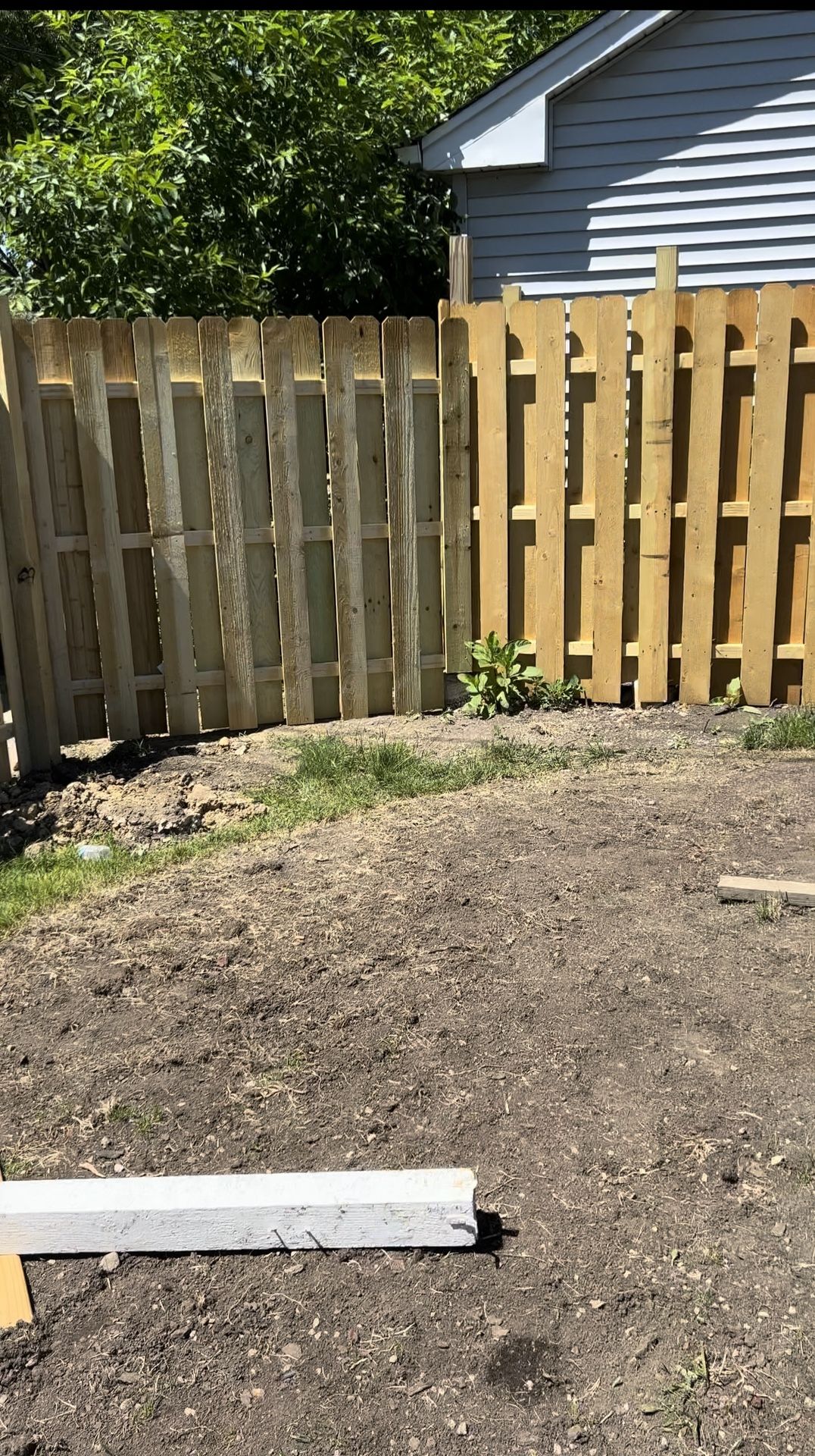 Fence …. Landscape