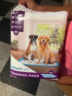 Brand New 40 Count Training Pads