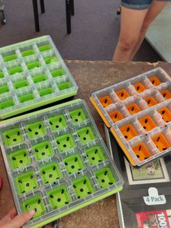 3 seedling trays