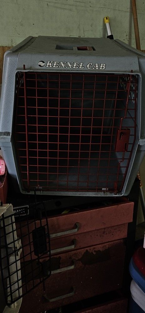 Medium Size Pet Carrier