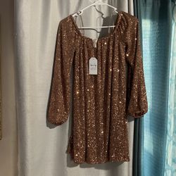 Shirt/ Dress