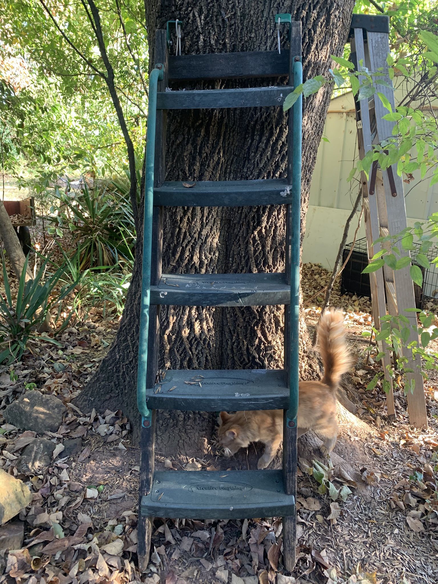 5’5 Heavy Duty playground Ladder