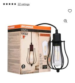 Sylvania Edison 1-Light Antique Black Ceiling Cage Pendant