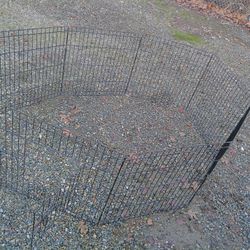 A Dog Fence Or Rabbit Fence Maybe It's Probably Not Even 2 Ft Tall And It Has A Door So You Could Put A Roof On It And Use The Gate Whatever To Get In