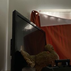 22 Inch Smart Vizio Tv 35$