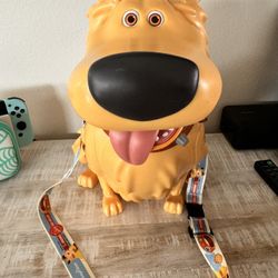 Dug Popcorn Bucket