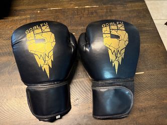 10 OZ Boxing Gloves