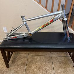 GT Speed Series frame & fork BMX