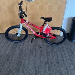 Schwinn koen bike 20” 