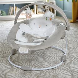 Baby Bouncer