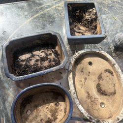 Bonsai Pots 