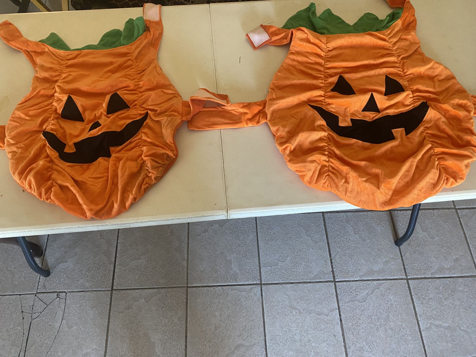 Disfraz De Halloween Para Perros