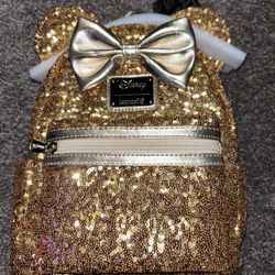 Disney Bag