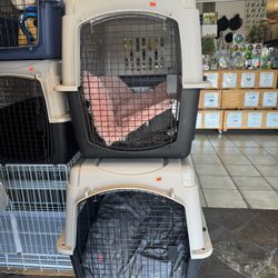 dog kennels 