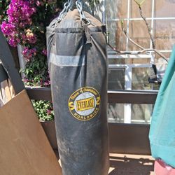 Punching Bag 