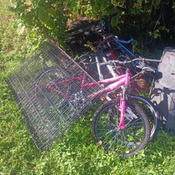 Large Pet Cage/bike For Sale $20 Each