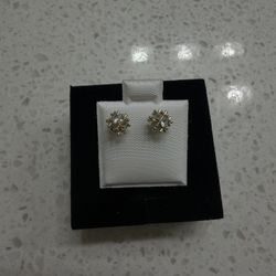 Gold Plated Earrings 
