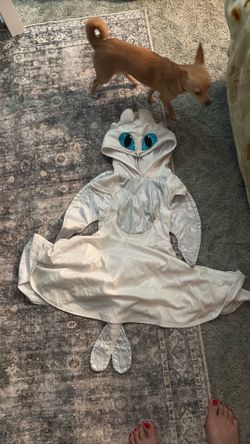 Light fury costume