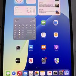iPad Pro 13 M4 WiFi And Cellular