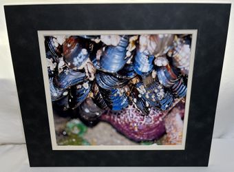 Original Photo-Double Mat/Ready to Frame 11x14