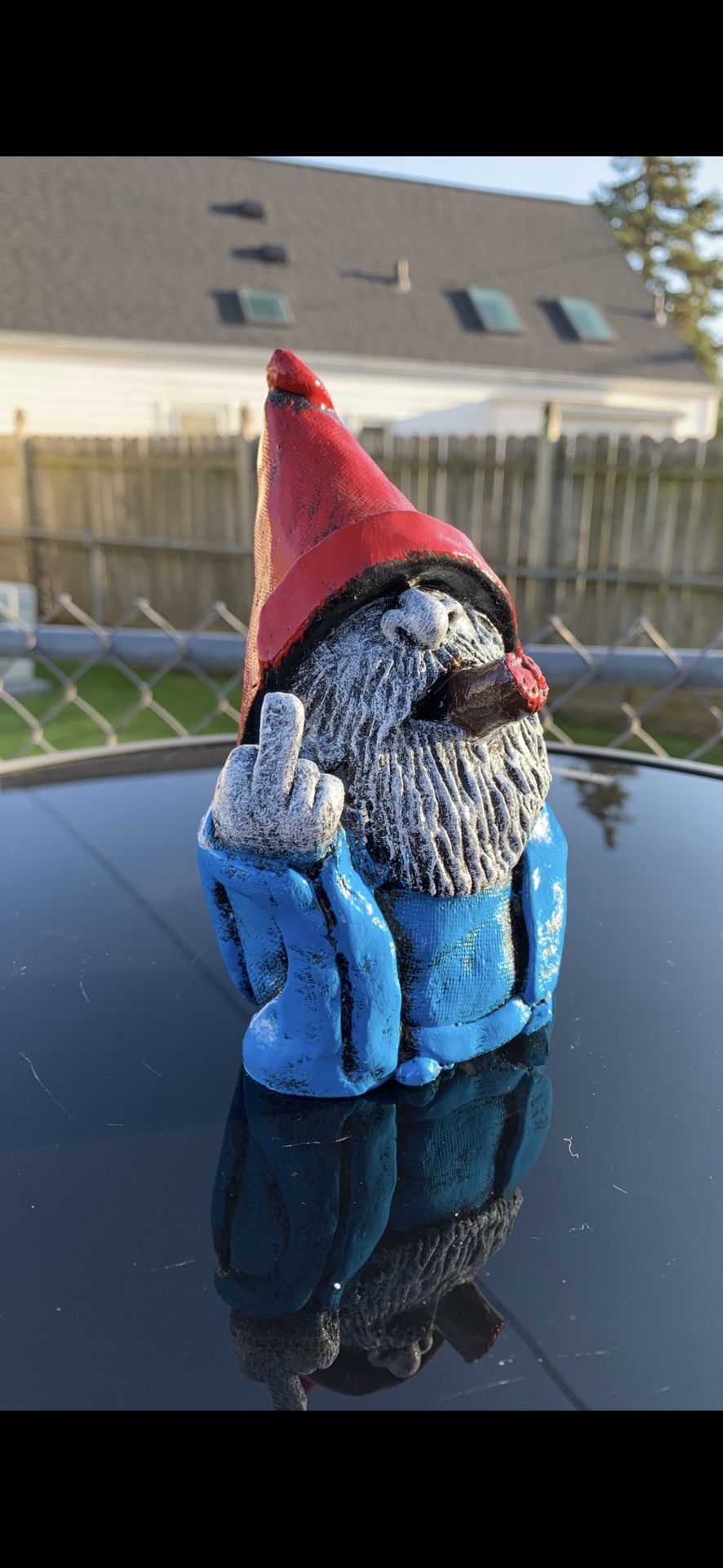 The middle finger gnome