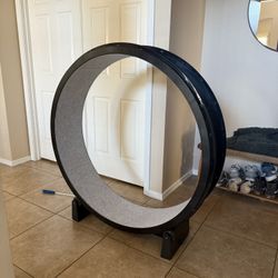 Cat Wheel