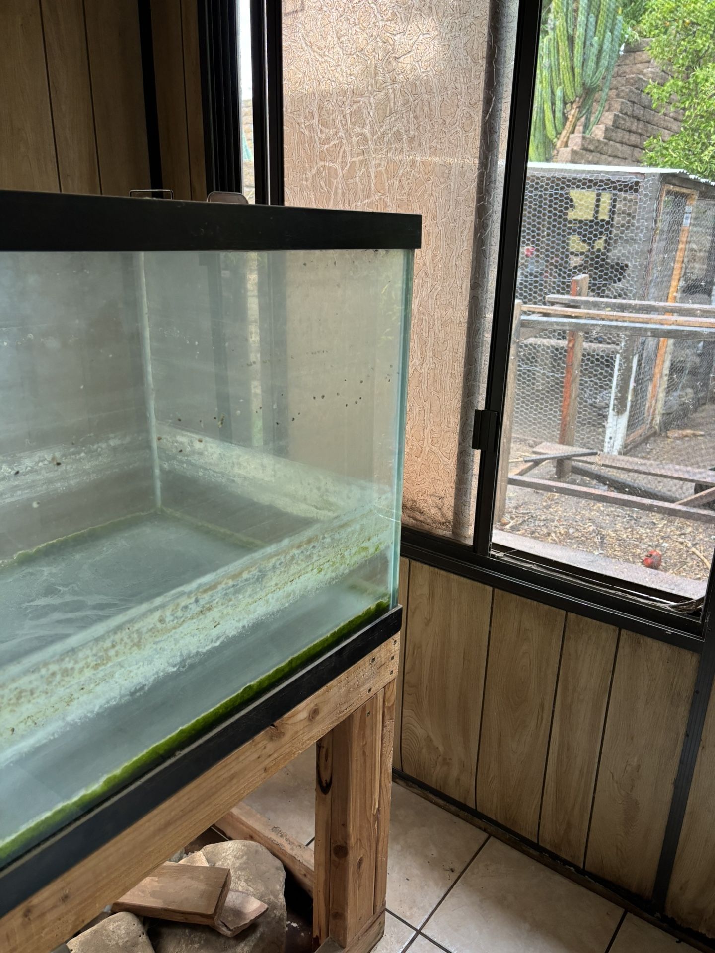 Fish Tank for Chicks