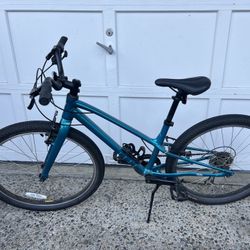 Specialized Jett Bike