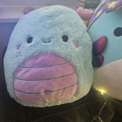 Squishmellows 