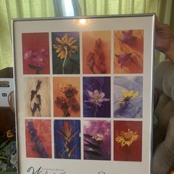 Vintage Crested Butte Wildflower Festival 2002