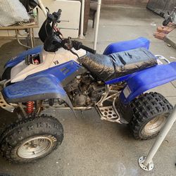 Yamaha Warrior
