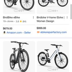 Bird Bike electric