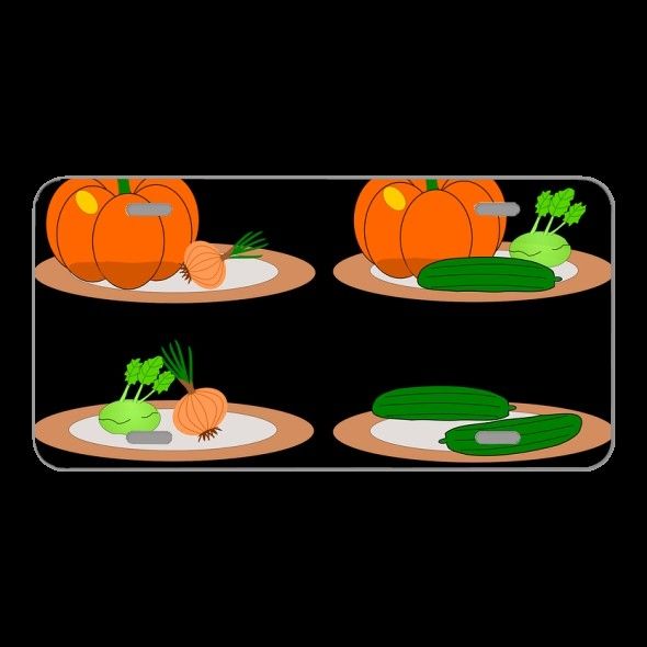License Plate Novelty Car Front Puzzle Weight Mass Logic Pumpkin