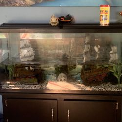 60 Gallon Fish Tank